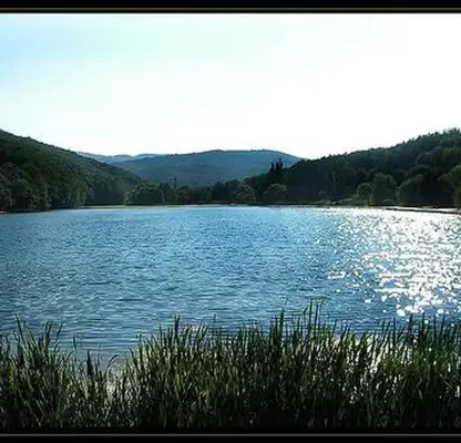 Photo 2 — Plot in Gabrovo, Chehlevci