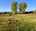Снимка 2 — Парцел в Перник, Църква