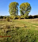 Парцел в Перник, Църква