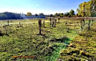 Парцел в Перник, Църква