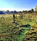 Парцел в Перник, Църква