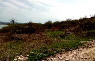 Парцел в Шумен, Дивдядово