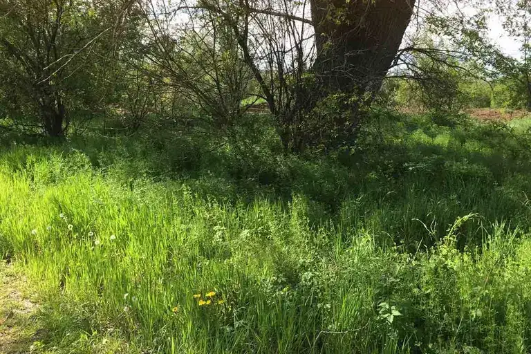 Парцел в Плевен, Дружба 4