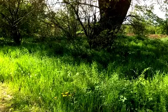 Парцел в Плевен, Дружба 4