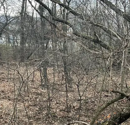 Photo 4 — Plot in Sofiya, Gorna Banya