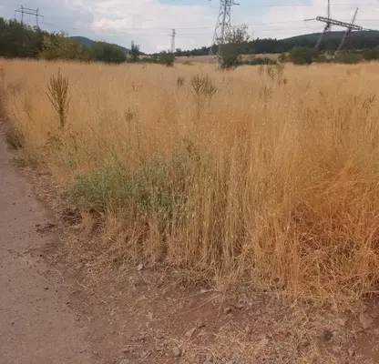 Photo 2 — Plot in Sofiya, Kremikovci