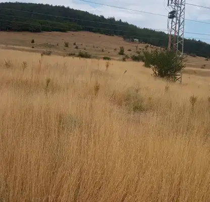 Photo 3 — Plot in Sofiya, Kremikovci