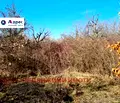 Снимка 3 — Парцел във Велико Търново, м-т Козлуджа