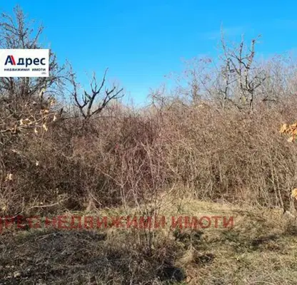 Снимка 3 — Парцел във Велико Търново, м-т Козлуджа