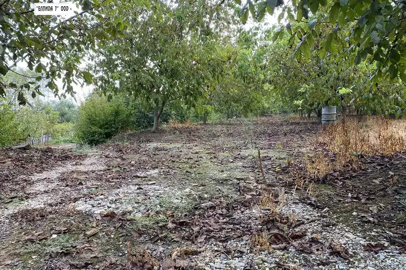 Plot in Pleven, Strajata