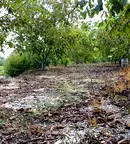 Парцел в Плевен, м-т Стражата