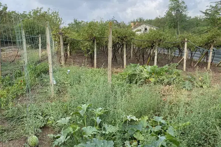 Plot in Pleven, Strajata