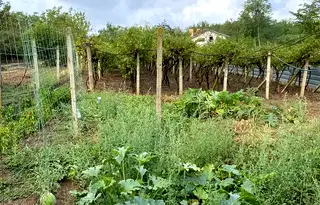 Парцел в Плевен, м-т Стражата