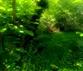 Снимка 4 — Парцел в София, м-т яз. Искър