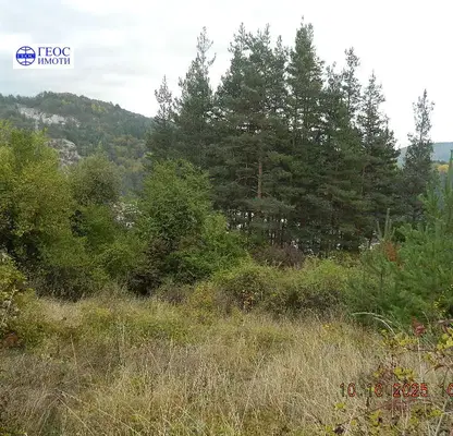 Photo 2 — Plot in Smolyan, Nov Centyr