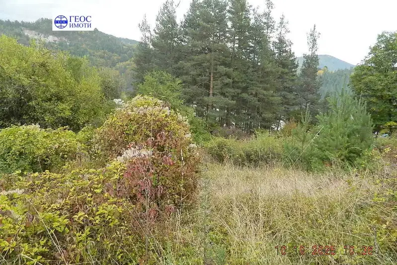 Plot in Smolyan, Nov Centyr