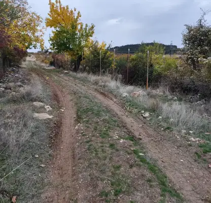 Photo 2 — Plot in Kyrdjali, Prilepci