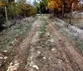 Снимка 3 — Парцел в Кърджали, Прилепци