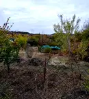 Парцел в Кърджали, Прилепци