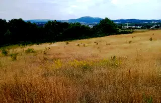 Парцел в Кърджали, Веселчане