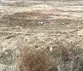 Снимка 2 — Парцел в Благоевград, Гоце Делчев