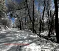 Снимка 3 — Парцел в Благоевград, Разлог