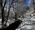 Снимка 4 — Парцел в Благоевград, Разлог