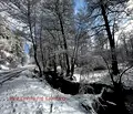 Снимка 5 — Парцел в Благоевград, Разлог