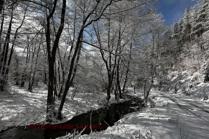 Парцел в Благоевград, Разлог