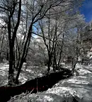Парцел в Благоевград, Разлог