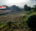 Снимка 4 — Парцел в Благоевград, с. Бачево