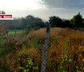 Снимка 2 — Парцел в Благоевград, с. Бачево