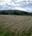 Парцел в Бургас, с. Атия
