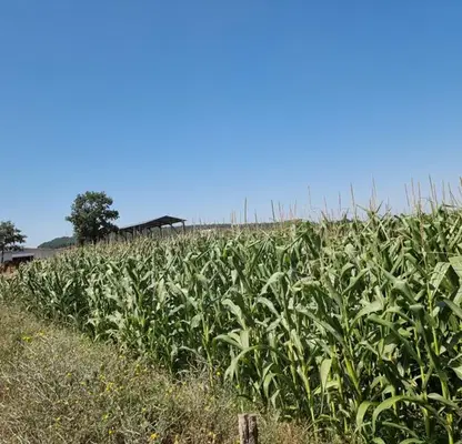 Photo 2 — Plot in Oblast Burgas, Drachevo