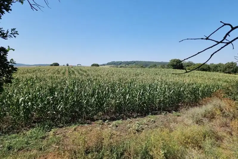 Парцел в Бургас, с. Драчево