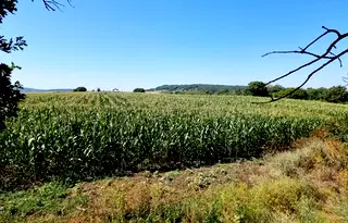 Парцел в Бургас, с. Драчево