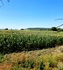 Парцел в Бургас, с. Драчево