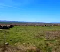 Снимка 2 — Парцел в Бургас, с. Кошарица