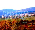 Снимка 2 — Парцел в Бургас, с. Кошарица