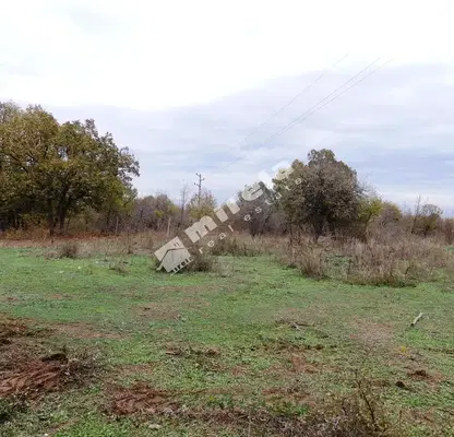 Снимка 5 — Парцел в Бургас, с. Писменово