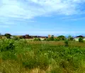 Снимка 4 — Парцел в Бургас, с. Синеморец