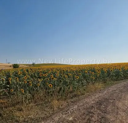 Снимка 4 — Парцел в Бургас, с. Тънково