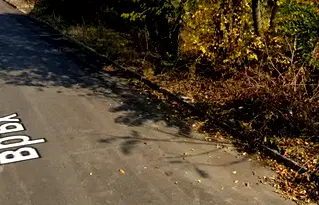 Парцел в Добрич, Шабла