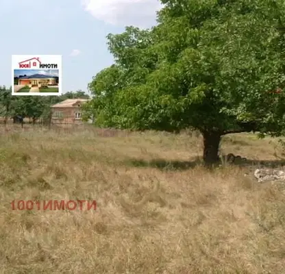 Снимка 3 — Парцел в Добрич, с. Бдинци