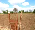 Снимка 2 — Парцел в Добрич, с. Дъбовик
