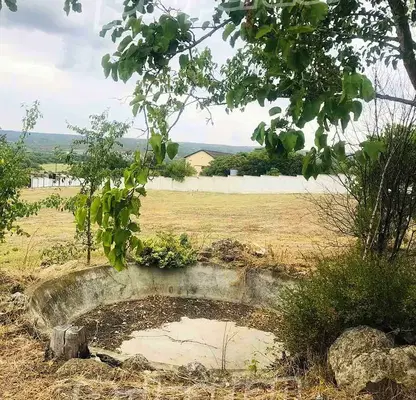 Photo 5 — Plot in Dobrich, Obrochishte