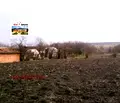 Снимка 5 — Парцел в Добрич, с. Полковник Минково