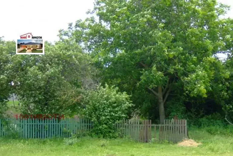 Plot in Oblast Dobrich, Sokolovo
