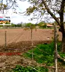 Парцел в Добрич, с. Ведрина