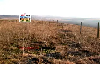 Парцел в Добрич, с. Златия